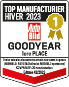 Logo-ACE-TS-03-2023-Goodyear